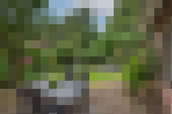 Aldengoor 6 Almelo thumbnail 33