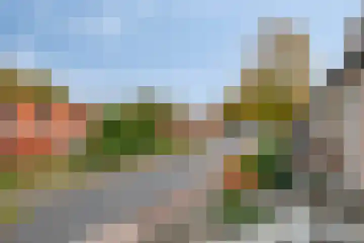 Aldetiendstraat 20 Uden thumbnail 24
