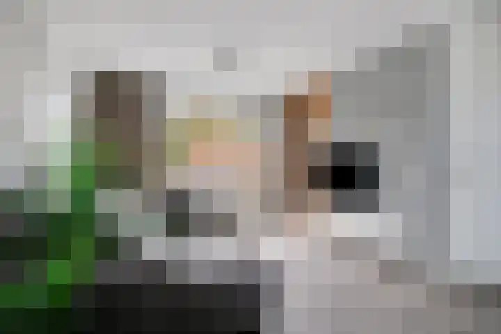 Aldetiendstraat 20 Uden thumbnail 6