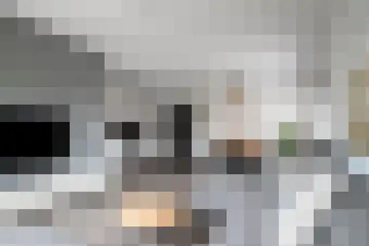 Aldetiendstraat 20 Uden thumbnail 7