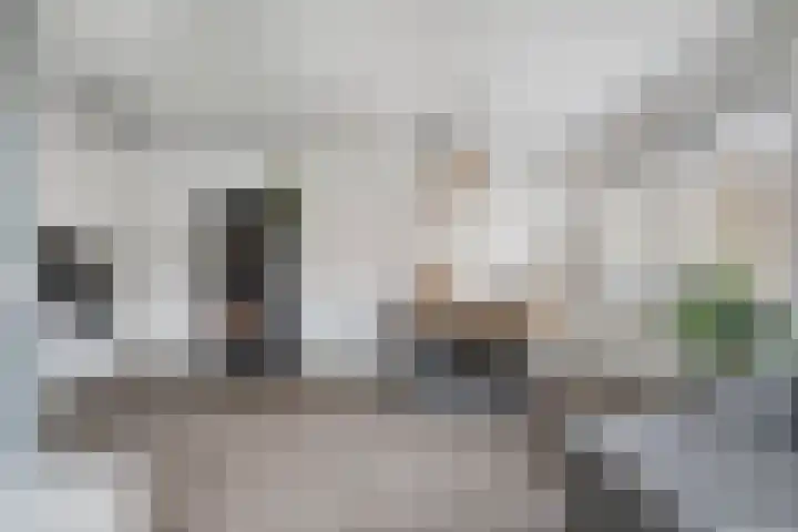 Aldetiendstraat 20 Uden thumbnail 9