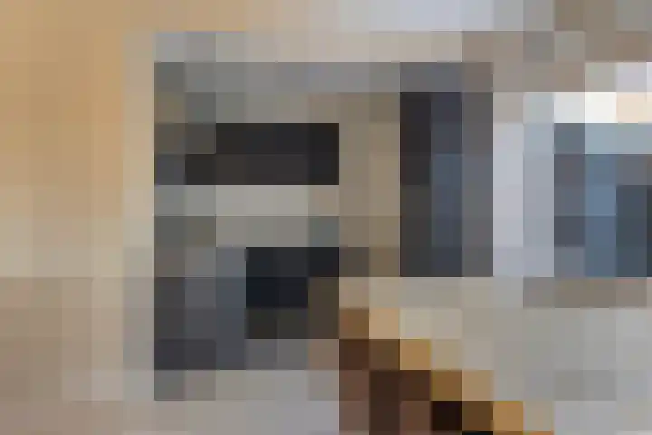Aldlânsdyk 49 Stiens thumbnail 10