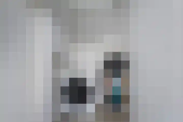 Aldlânsdyk 49 Stiens thumbnail 13