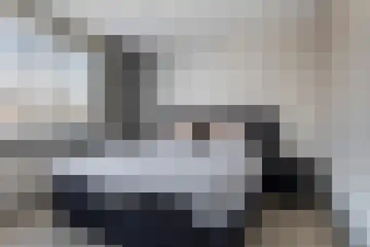 Aldlânsdyk 49 Stiens thumbnail 15