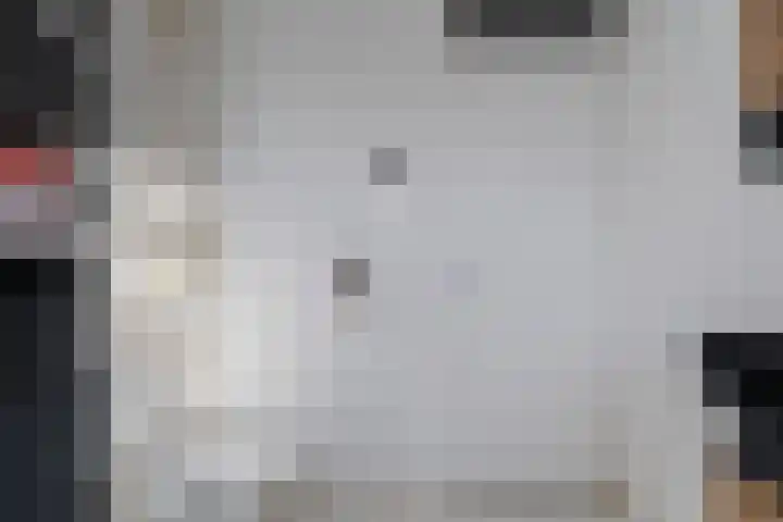 Aldlânsdyk 49 Stiens thumbnail 20