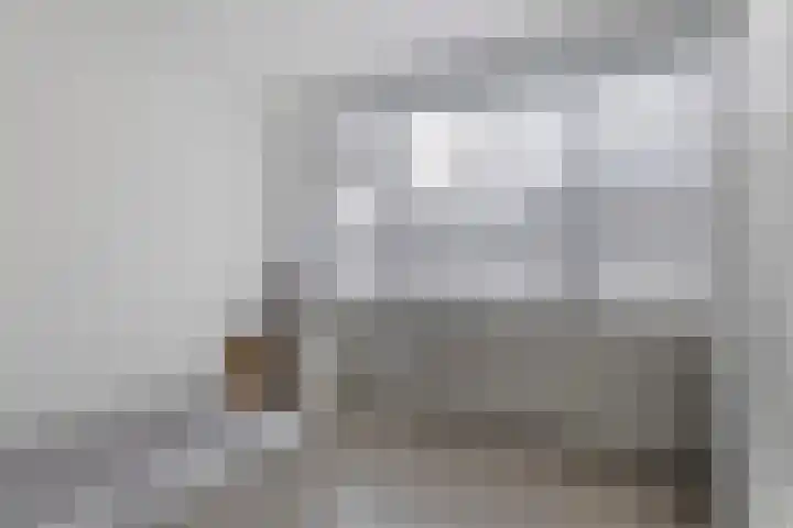 Aldlânsdyk 49 Stiens thumbnail 24