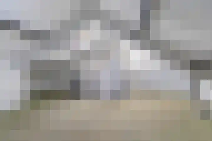 Aldlânsdyk 49 Stiens thumbnail 26