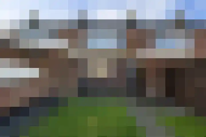 Aldlânsdyk 49 Stiens thumbnail 28