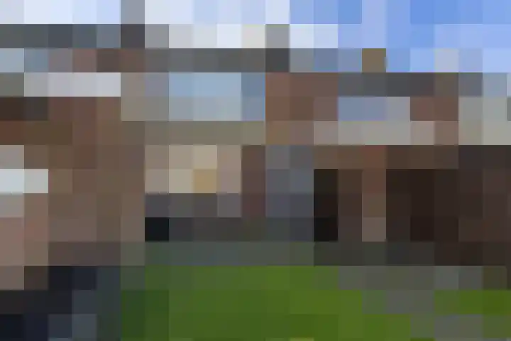 Aldlânsdyk 49 Stiens thumbnail 29