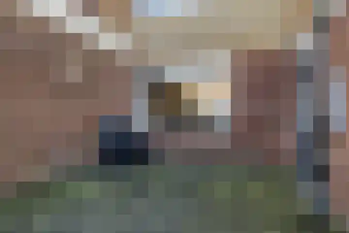 Aldlânsdyk 49 Stiens thumbnail 30