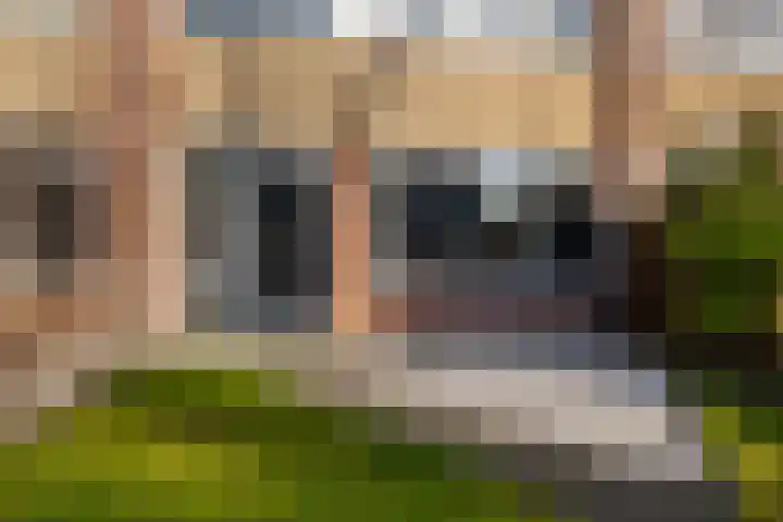 Aldlânsdyk 49 Stiens thumbnail 31