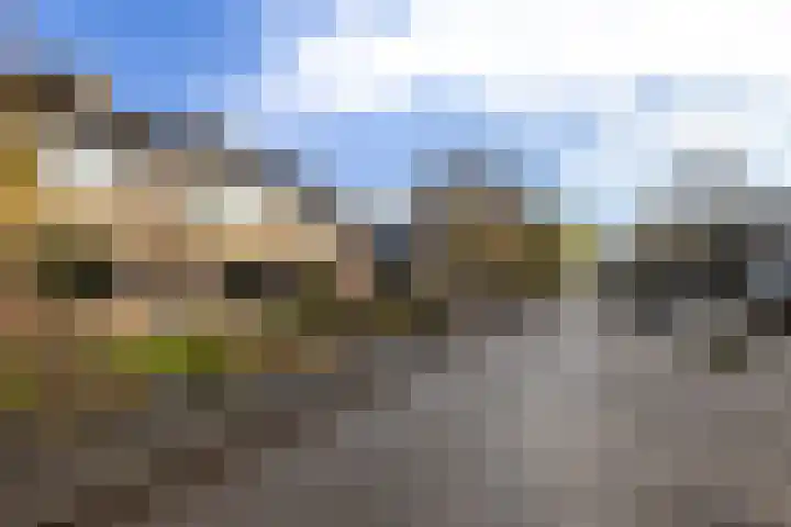 Aldlânsdyk 49 Stiens thumbnail 35