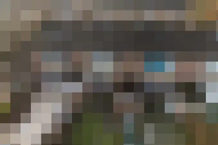 Aldlânsdyk 49 Stiens thumbnail 36