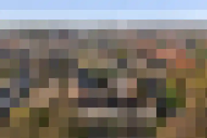 Aldlânsdyk 49 Stiens thumbnail 38