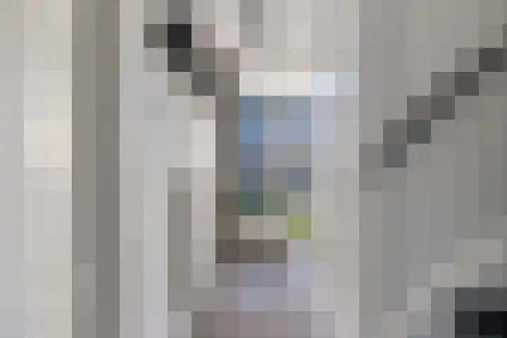 Aldlânsdyk 49 Stiens thumbnail 5