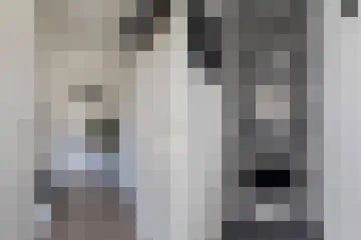 Aldlânsdyk 49 Stiens thumbnail 6