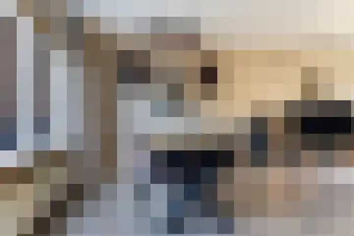 Aldlânsdyk 49 Stiens thumbnail 8