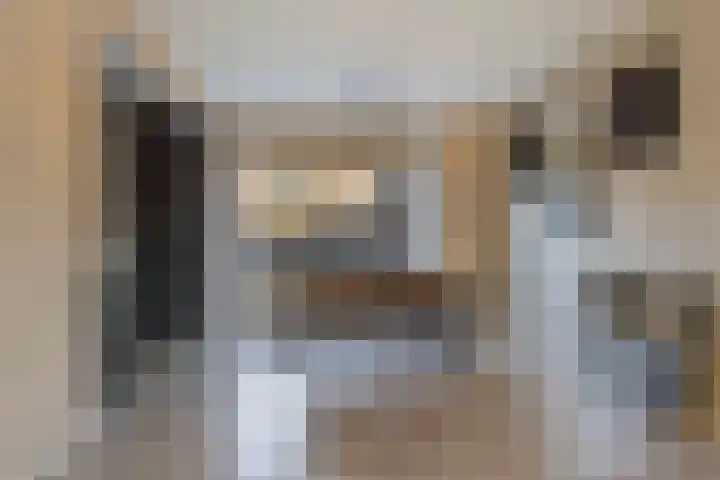Aldlânsdyk 49 Stiens thumbnail 9
