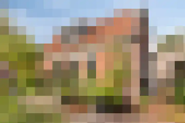 Aldringaweg 22 Feerwerd