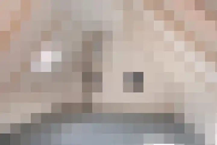Aldringaweg 22 Feerwerd thumbnail 16