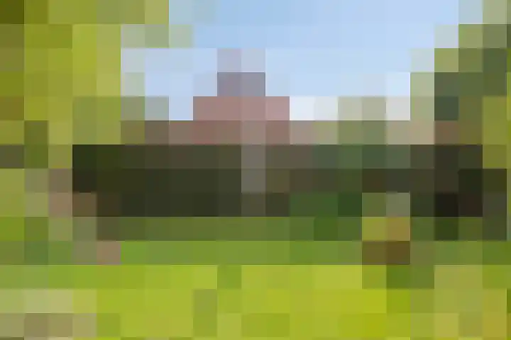 Aldringaweg 22 Feerwerd thumbnail 19