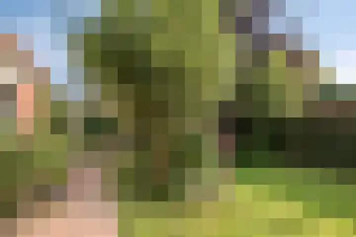 Aldringaweg 22 Feerwerd thumbnail 21