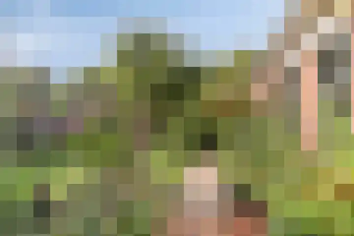 Aldringaweg 22 Feerwerd thumbnail 22
