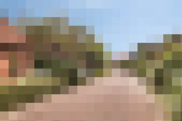 Aldringaweg 22 Feerwerd thumbnail 25
