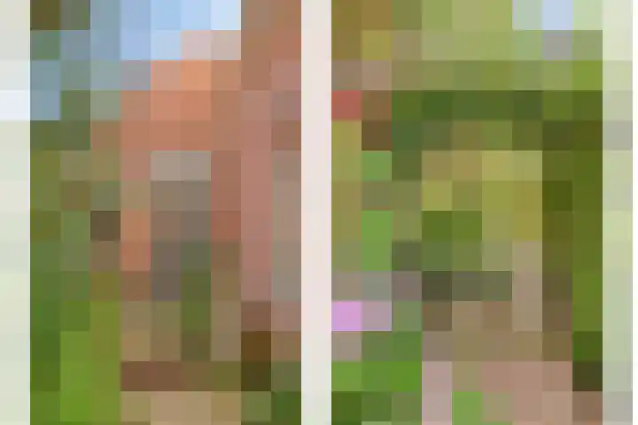Aldringaweg 22 Feerwerd thumbnail 5