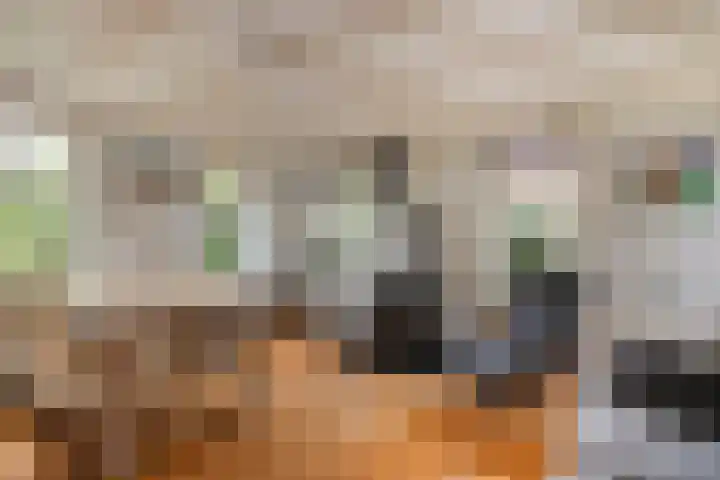 Aldringaweg 22 Feerwerd thumbnail 8