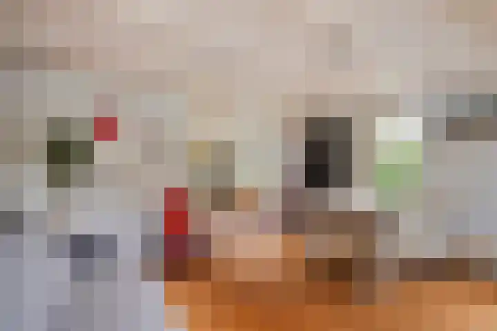 Aldringaweg 22 Feerwerd thumbnail 9