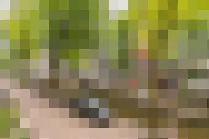 Aleidisstraat 67 Rotterdam thumbnail 11