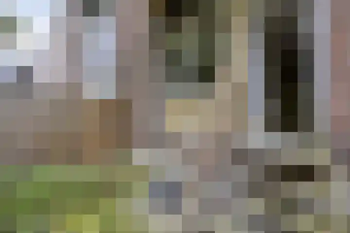 Aleidisstraat 67 Rotterdam thumbnail 12