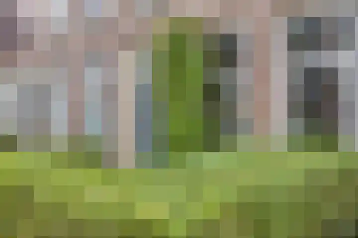 Aleidisstraat 67 Rotterdam thumbnail 4
