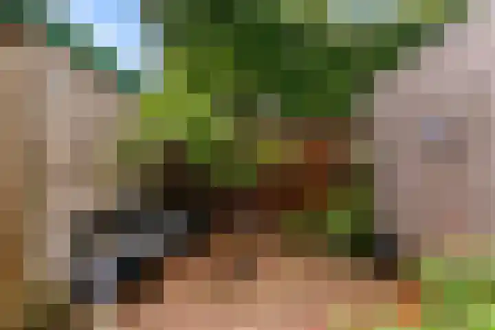 Aleidisstraat 67 Rotterdam thumbnail 8