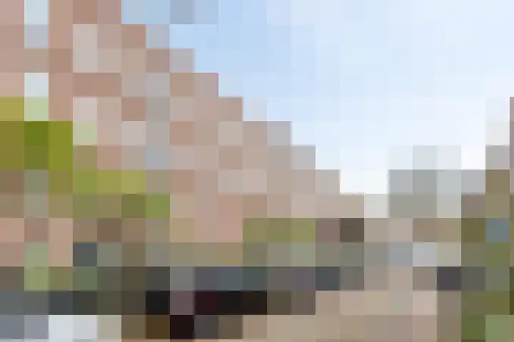 Aleidisstraat 73 D Rotterdam thumbnail 5