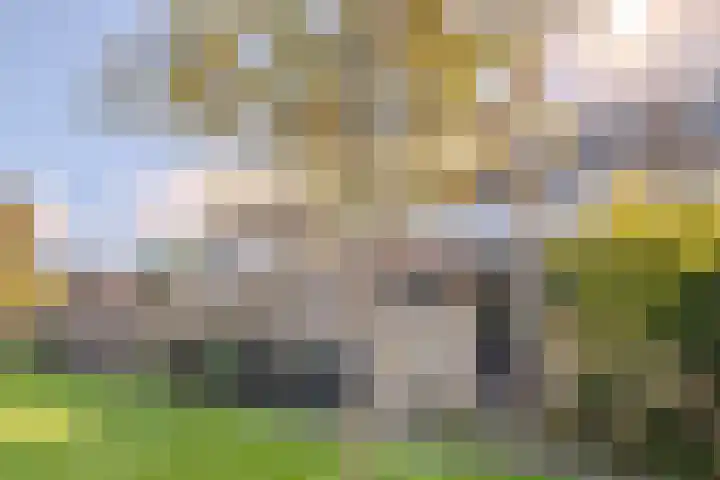 Aletta Jacobslaan 36 Purmerend thumbnail 31