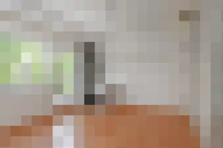Aletta Jacobslaan 62 Purmerend thumbnail 28