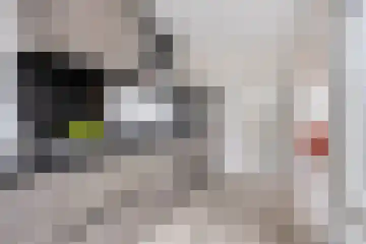 Aletta Jacobslaan 76 Purmerend thumbnail 13