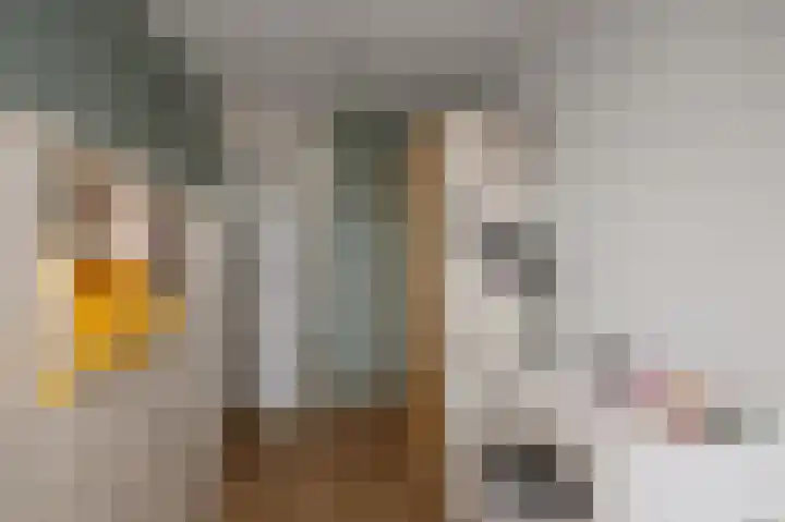 Aletta Jacobsstraat 10 Assendelft thumbnail 17