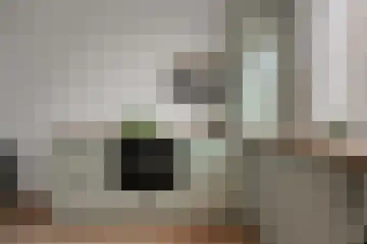 Aletta Jacobsstraat 10 Assendelft thumbnail 8