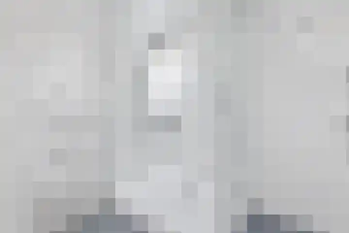 Aletta Jacobsstraat 12 Delft thumbnail 25