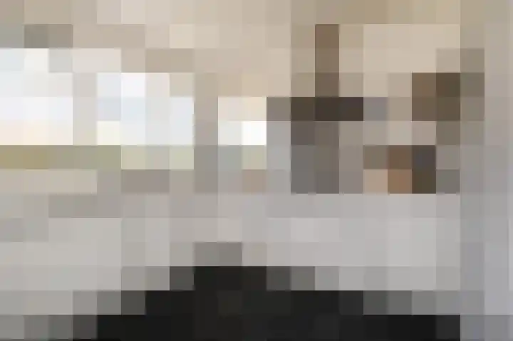 Aletta Jacobsstraat 16 Pijnacker thumbnail 11