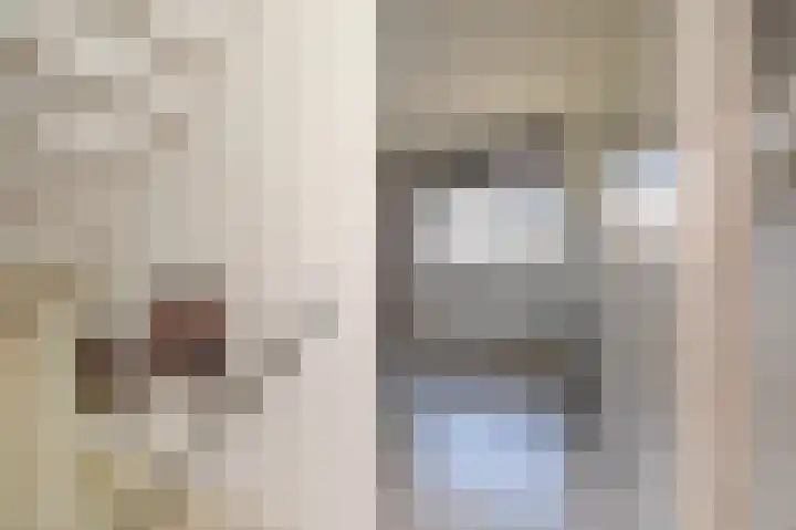 Aletta Jacobsstraat 16 Pijnacker thumbnail 14