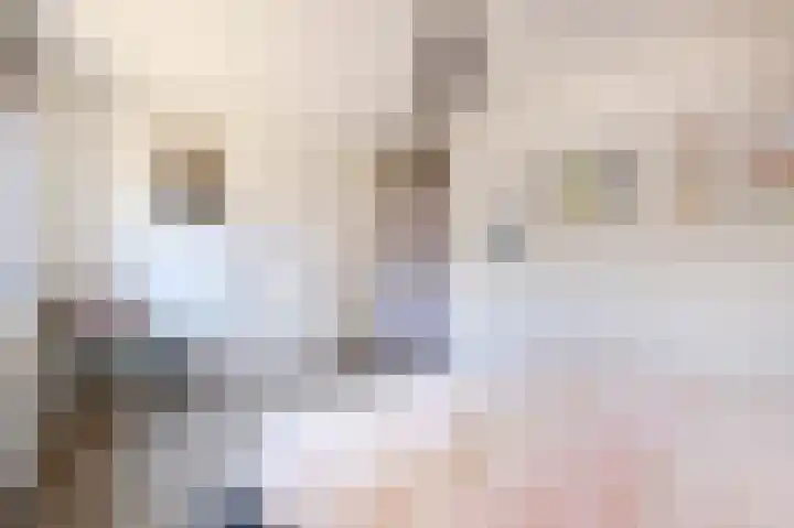 Aletta Jacobsstraat 16 Pijnacker thumbnail 16