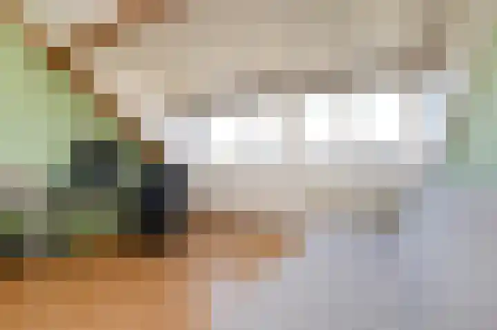 Aletta Jacobsstraat 16 Pijnacker thumbnail 23