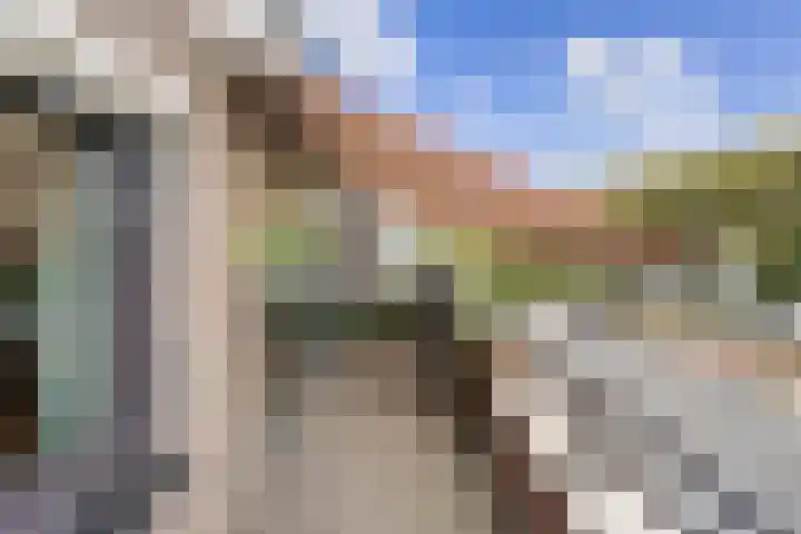 Aletta Jacobsstraat 16 Pijnacker thumbnail 28