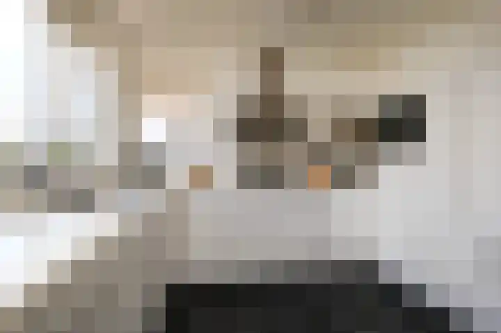 Aletta Jacobsstraat 16 Pijnacker foto 3