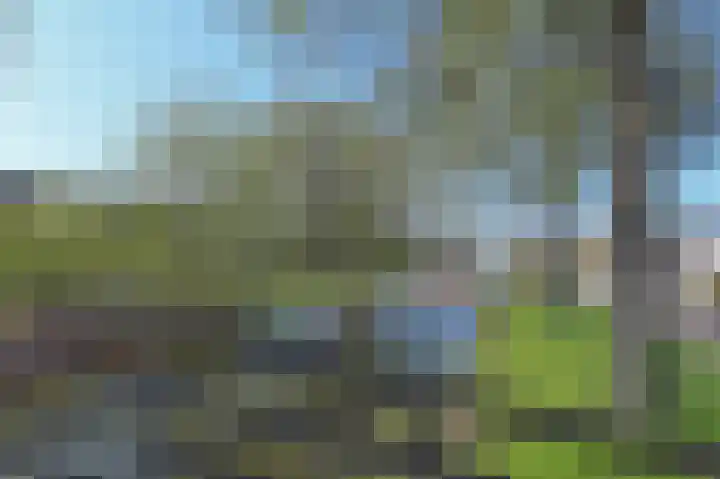 Aletta Jacobsstraat 16 Pijnacker thumbnail 32