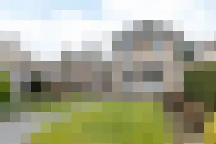 Aletta Jacobsstraat 2 Heerlen thumbnail 31